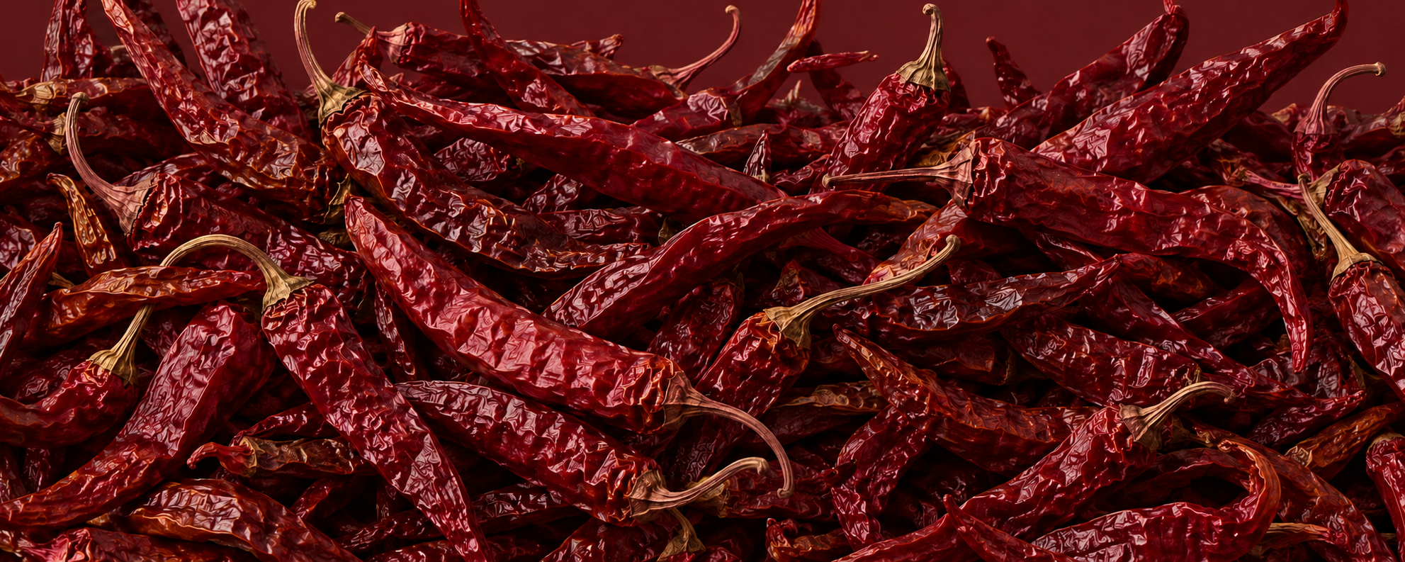 A rich bed of whole dried red chillies